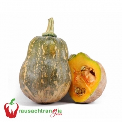 RAU SẠCH -BÍ ĐỎ