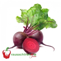 RAU SẠCH - CỦ DỀN