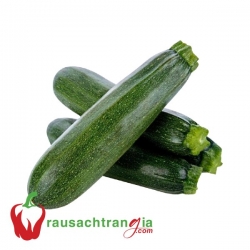 RAU SẠCH - BÍ NGÒI XANH