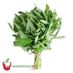 RAU SẠCH - RAU ĐAY