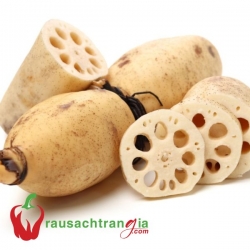 RAU -SẠCH - CỦ SEN