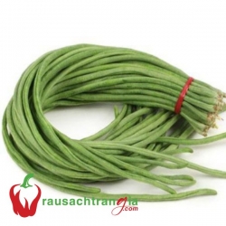 RAU SẠCH - ĐẬU ĐŨA