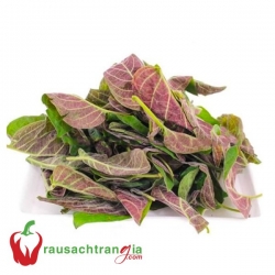 RAU SẠCH - LÁ MƠ