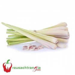 RAU SẠCH - SẢ CÂY