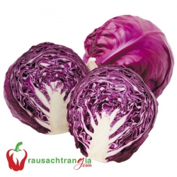 RAU SẠCH - BẮP CẢI TÍM