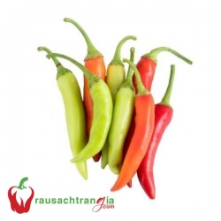 RAU SẠCH - ỚT BATRI
