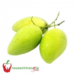 RAU SẠCH - XOÀI CÁT CHU