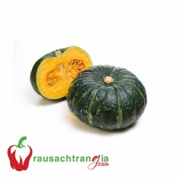 RAU SẠCH - BÍ NHẬT