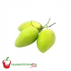 XOÀI CÁT HÒA LỘC