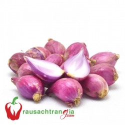 RAU SẠCH - HÀNH TÍM CỦ
