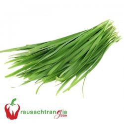RAU SẠCH - HẸ LÁ