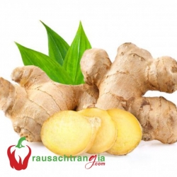 RAU SẠCH - CỦ GỪNG
