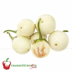 RAU SẠCH - CÀ PHÁO
