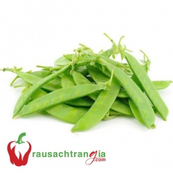 RAU SẠCH - ĐẬU HÀ LAN