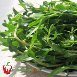 RAU SẠCH - RAU ĐẮNG