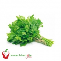 RAU SẠCH - CẦN TÀU