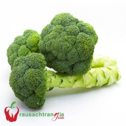 RAU SẠCH - BÔNG CẢI XANH