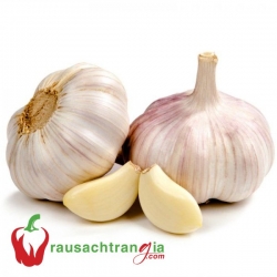 RAU SẠCH - TỎI CỦ