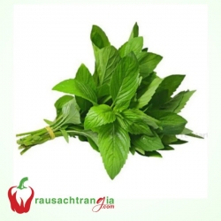 RAU SẠCH - HÚNG CÂY