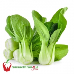 RAU SẠCH - CẢI THÌA