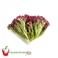 RAU SẠCH - XÀ LÁCH LÔ LÔ TÍM