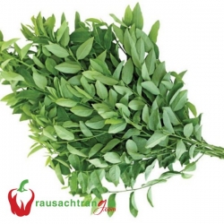 RAU SẠCH - RAU BÙ NGÓT