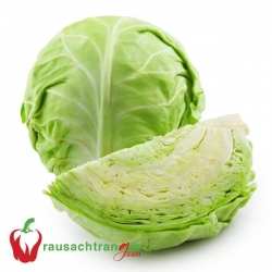 RAU SẠCH - BẮP CẢI TRẮNG