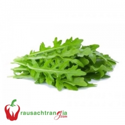 RAU SẠCH - XÀ LÁCH ROCKET