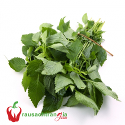 RAU SẠCH - KINH GIỚI